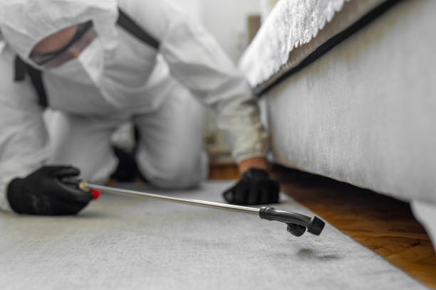Professional Cockroach Control technician working in Weimar, TX