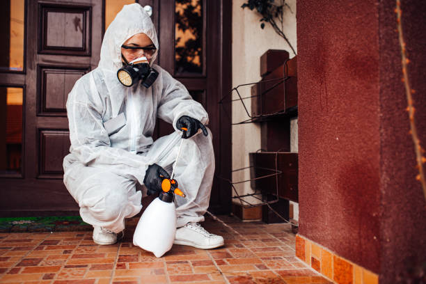 Reliable Cockroach Control contractor in Weimar, TX by Nex Pest Control